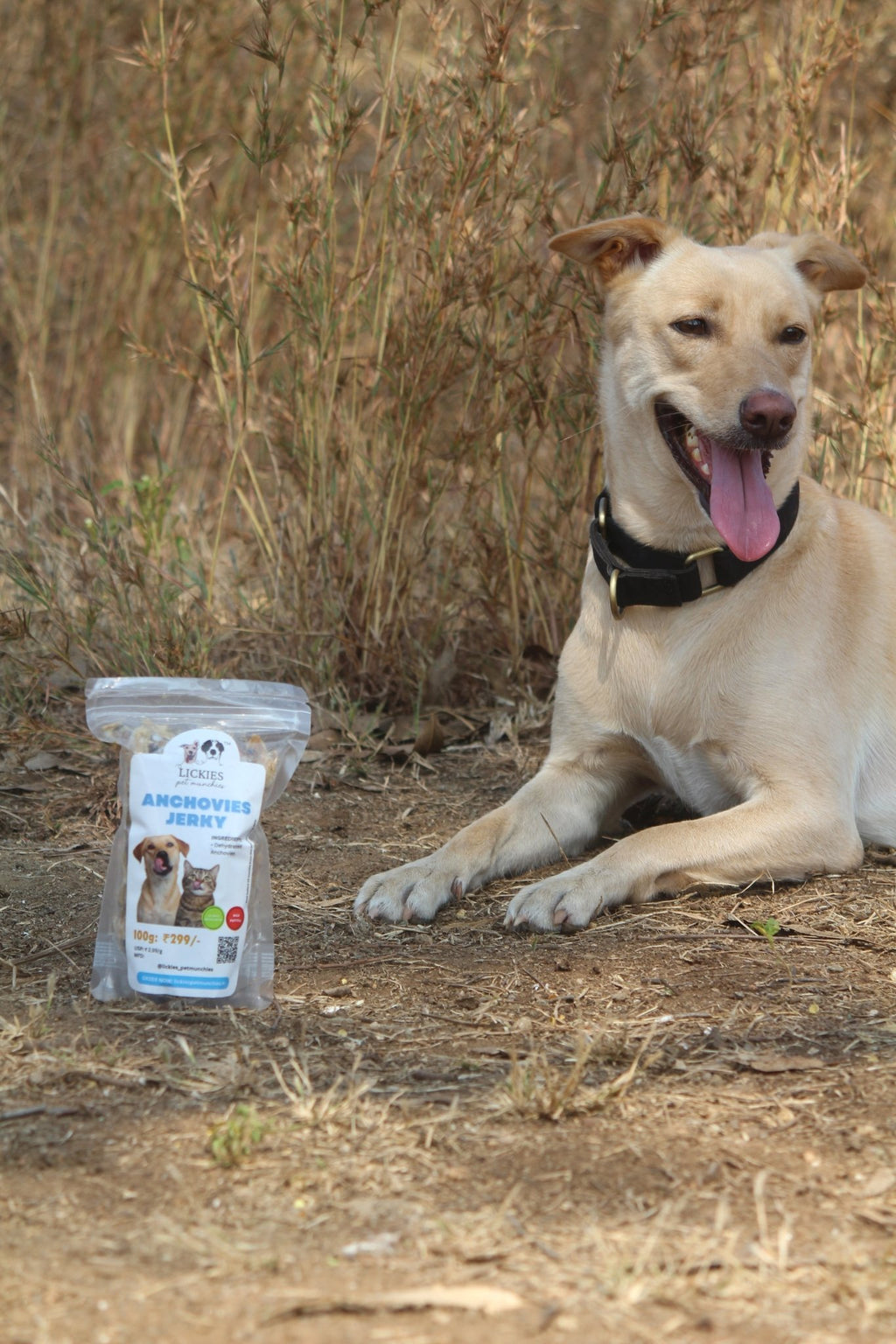 Anchovies Jerky | Dehydrated Anchovy fish - Lickies Pet Munchies