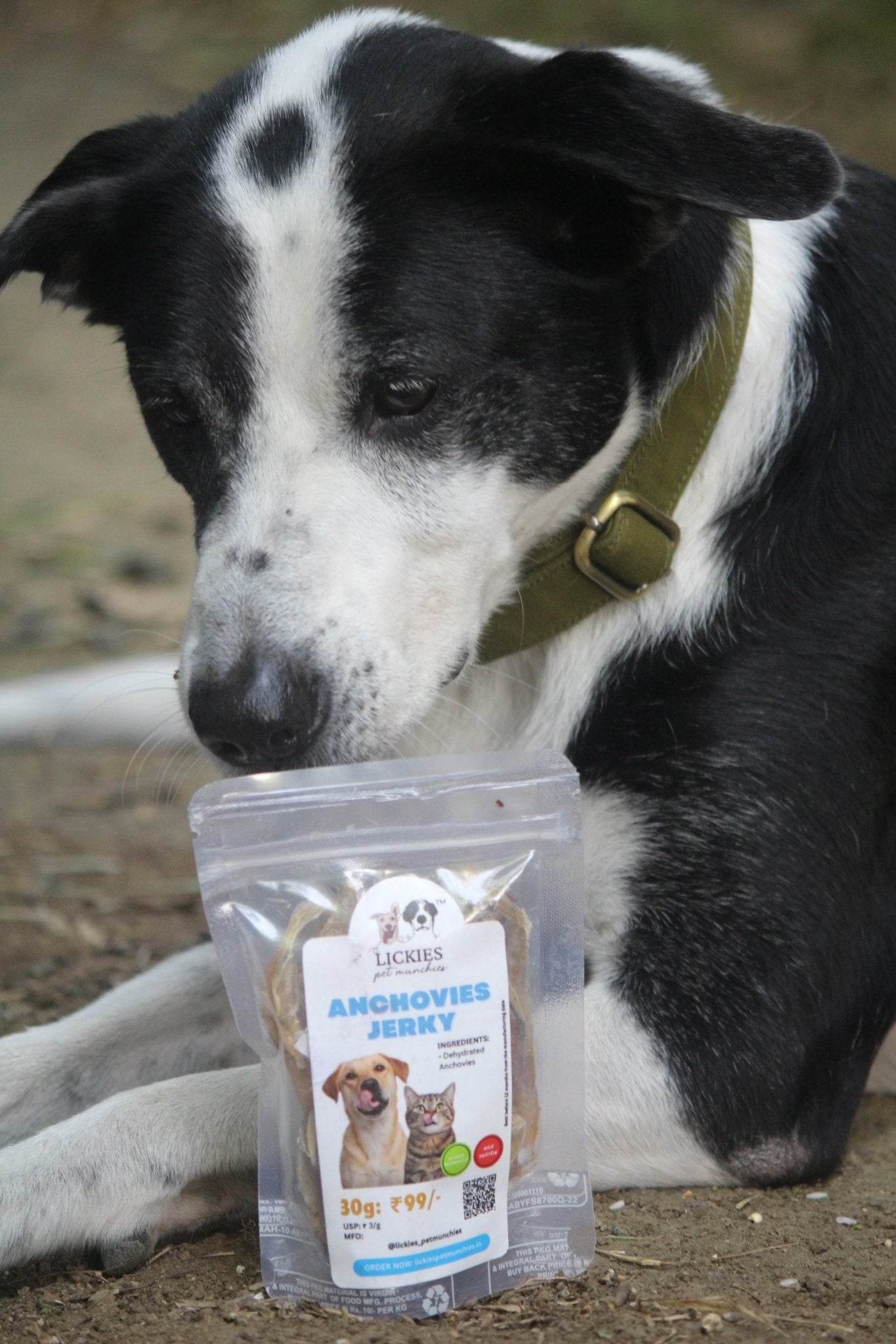 Anchovies Jerky | Dehydrated Anchovy fish - Lickies Pet Munchies