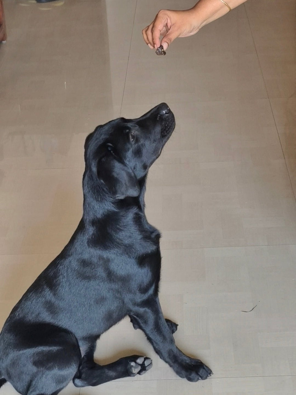 Chicken Liver Jerky | 100% Natural Dehydrated chicken liver - Lickies Pet Munchies