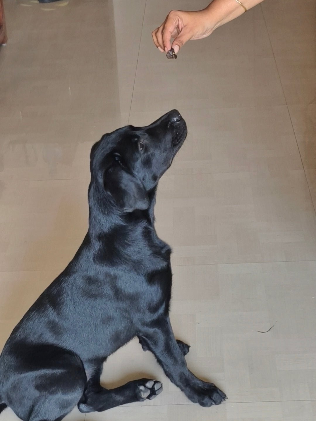 Chicken Liver Jerky | 100% Natural Dehydrated chicken liver - Lickies Pet Munchies