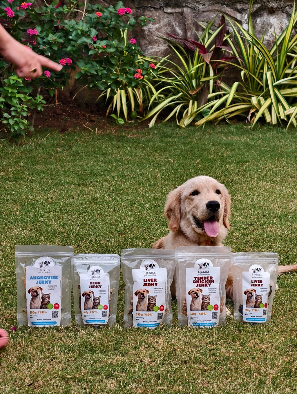 Chicken Neck Jerky | 100% Natural Dehydrated chicken neck - Lickies Pet Munchies