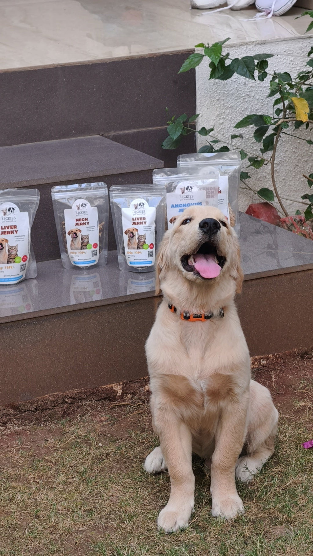 Chicken Neck Jerky | 100% Natural Dehydrated chicken neck - Lickies Pet Munchies